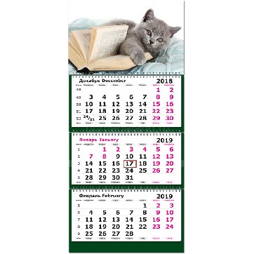Календарь квартальный 2019, "Котенок с книгой"
