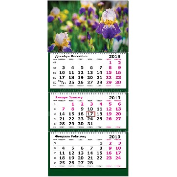 Календарь квартальный 2019, "Цветы-Ирисы"