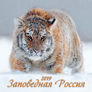 Календарь настенный 2019, "Заповедная Россия"